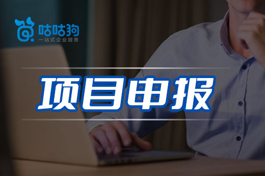 咕咕狗|广西项目申报：南宁市2022年服务业龙头企业申报